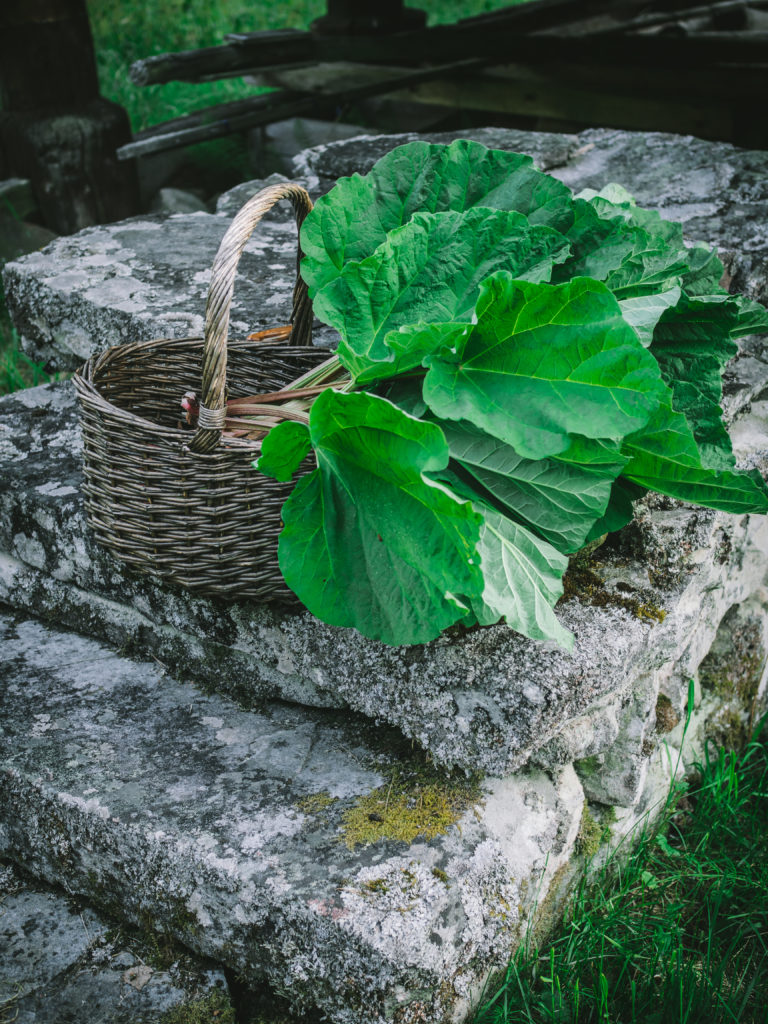 Rhubarb