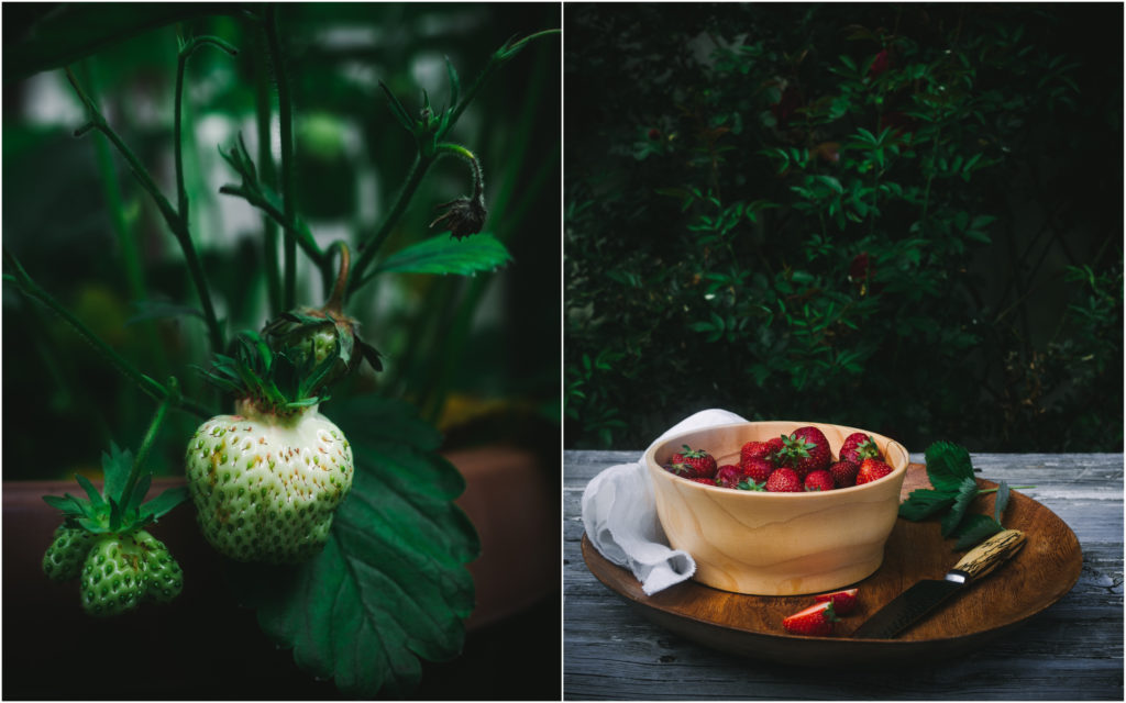 Summer Norwegian Strawberries
