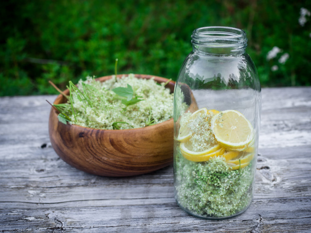 Making wild flower cordial