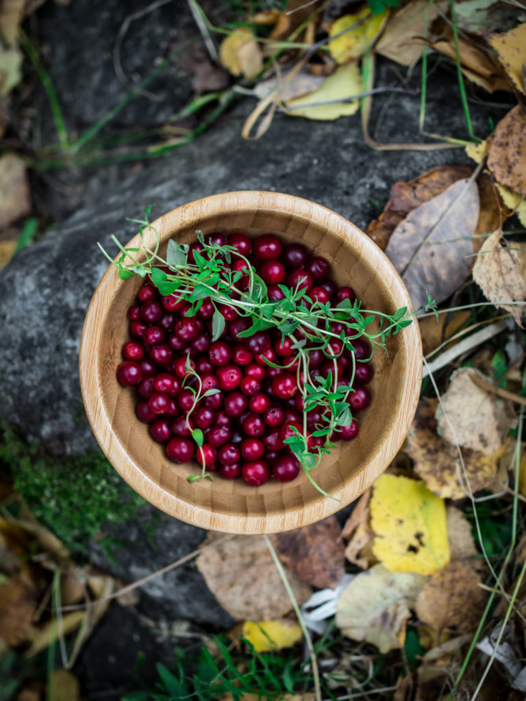 Wild Lingonberries