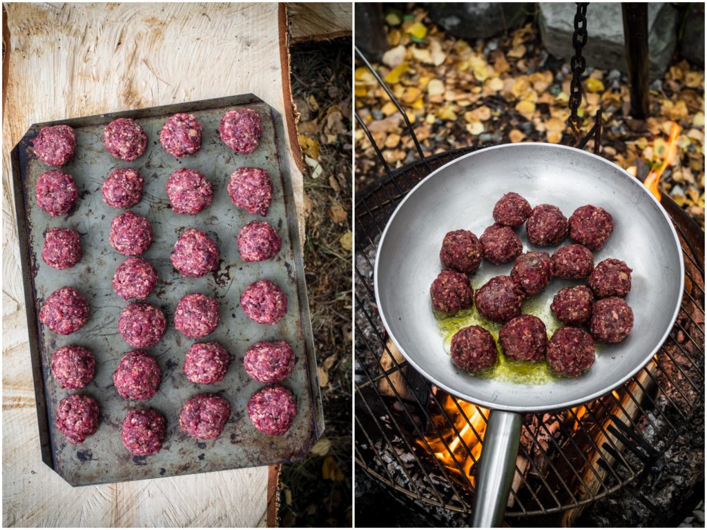 Moose Meatballs
