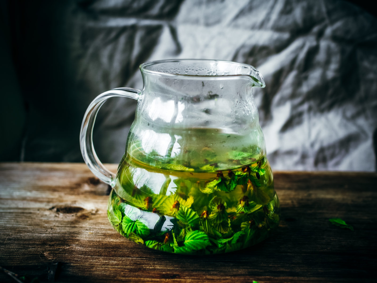 Birch Tea (bjørkete)