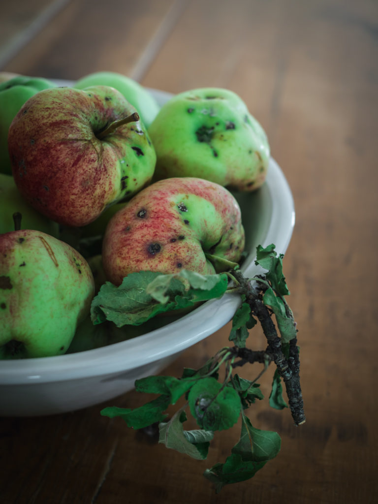 Chicken Harvest Salad 