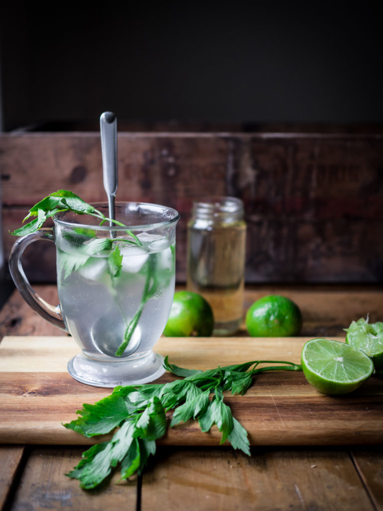 Gin and Soda with Lovage Syrup 