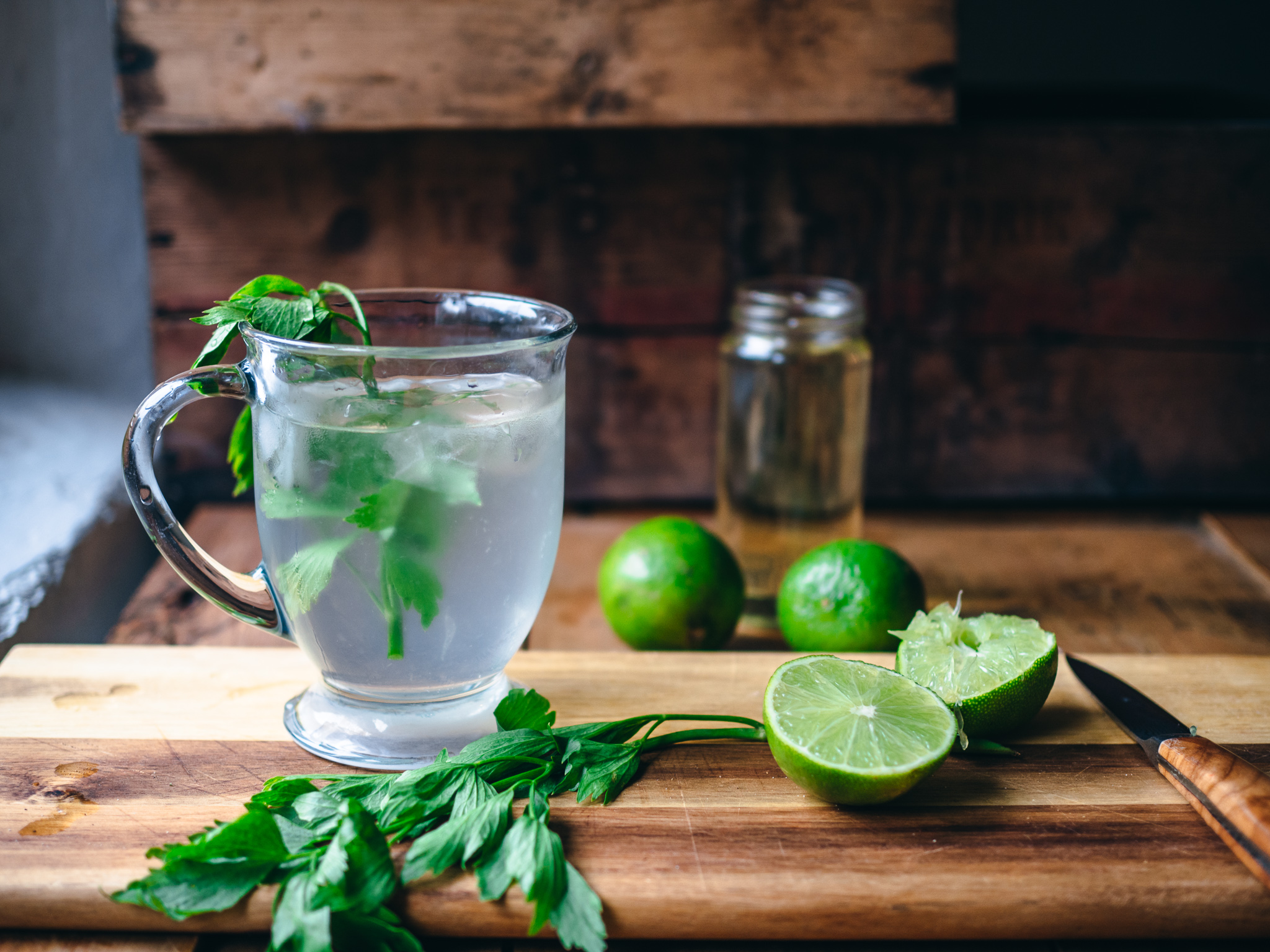 Gin and Soda with Lovage Syrup