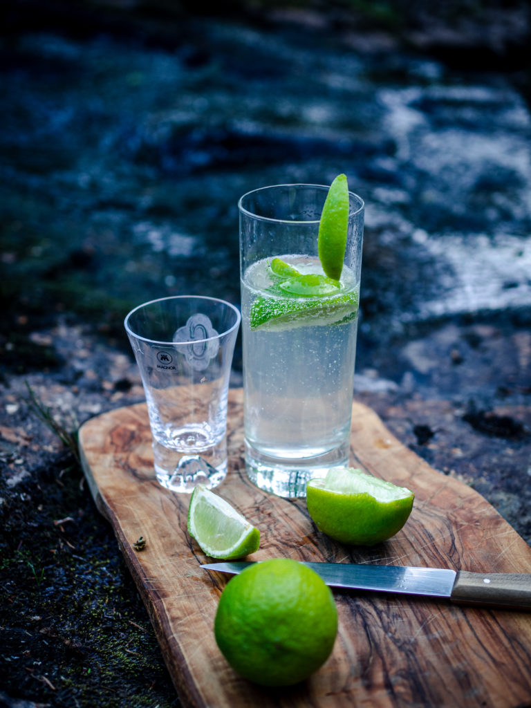 fjellbekk (mountain stream)