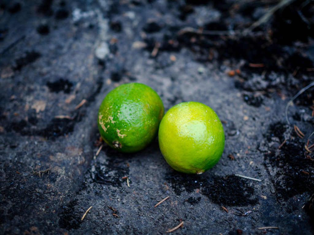 fjellbekk (mountain stream)