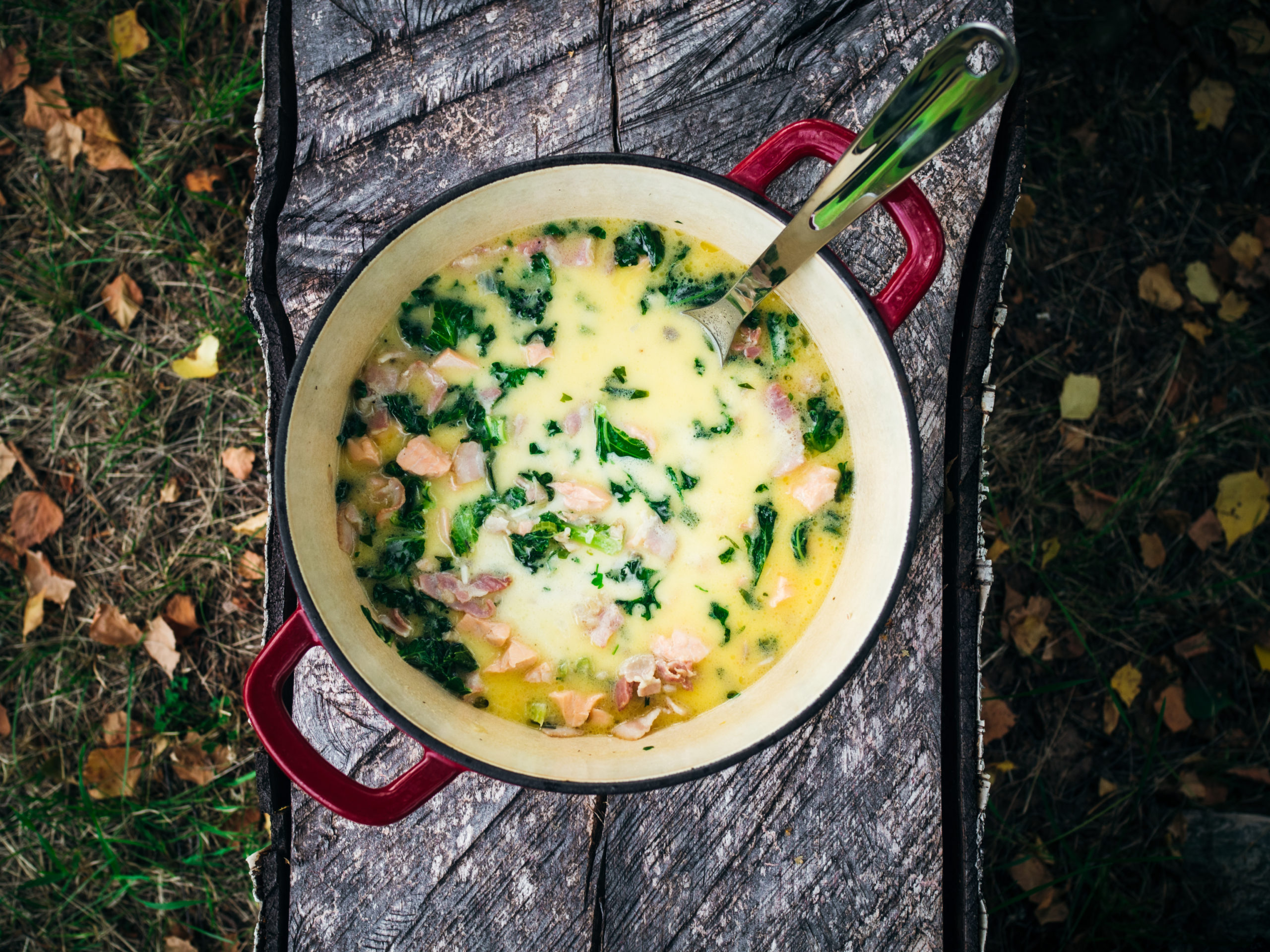 Salmon and Barley Soup