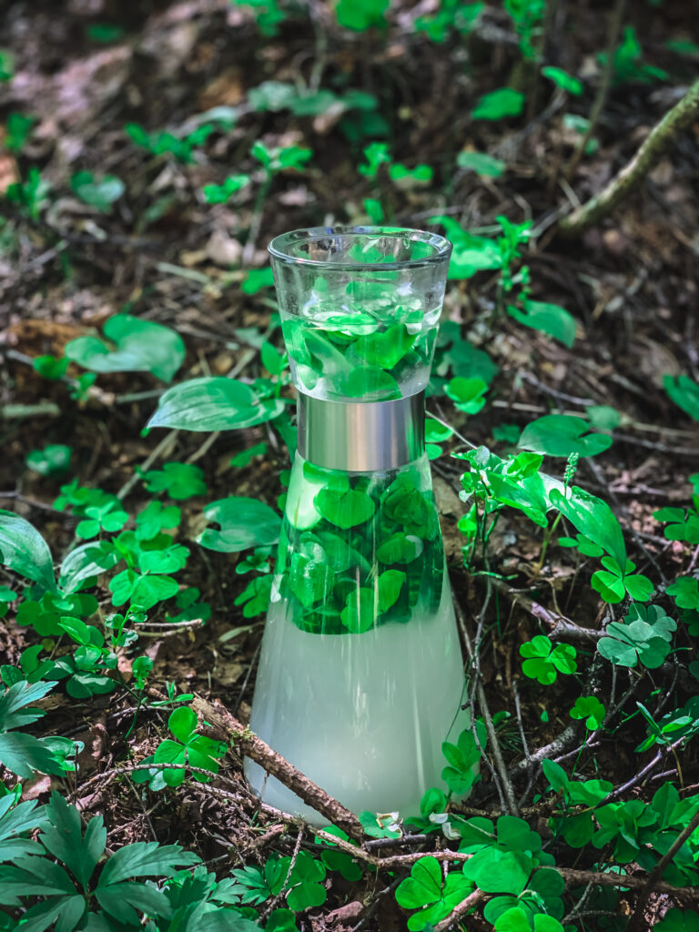 Wood Sorrel and Cucumber Lemonade