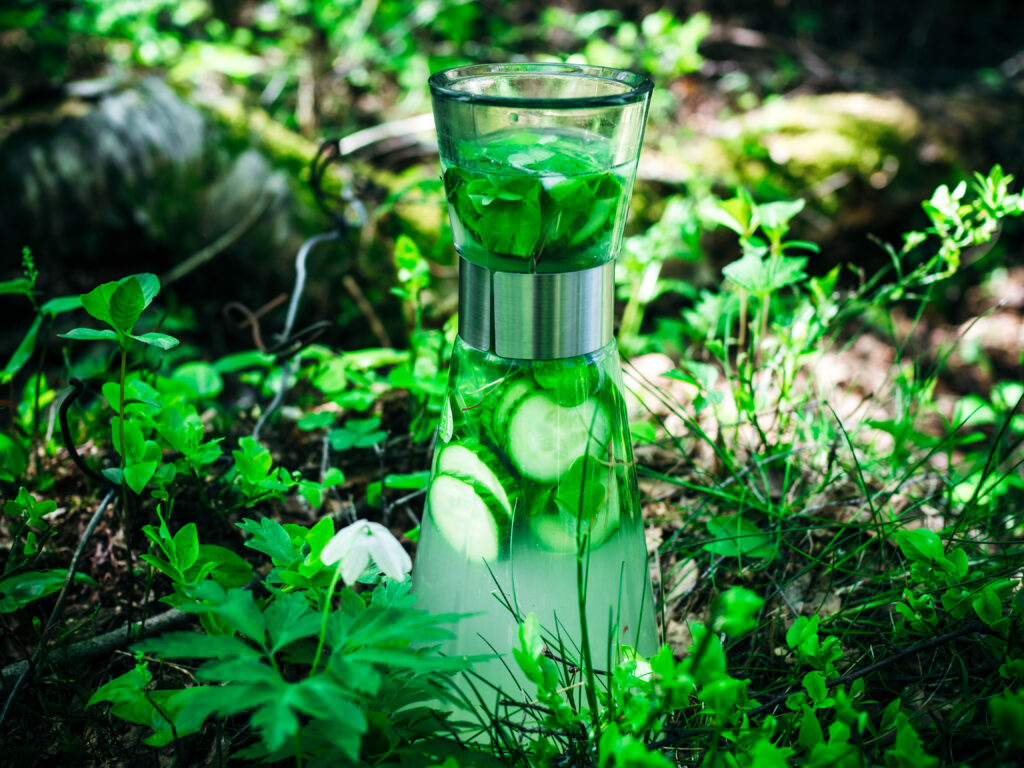 Wood Sorrel and Cucumber Lemonade