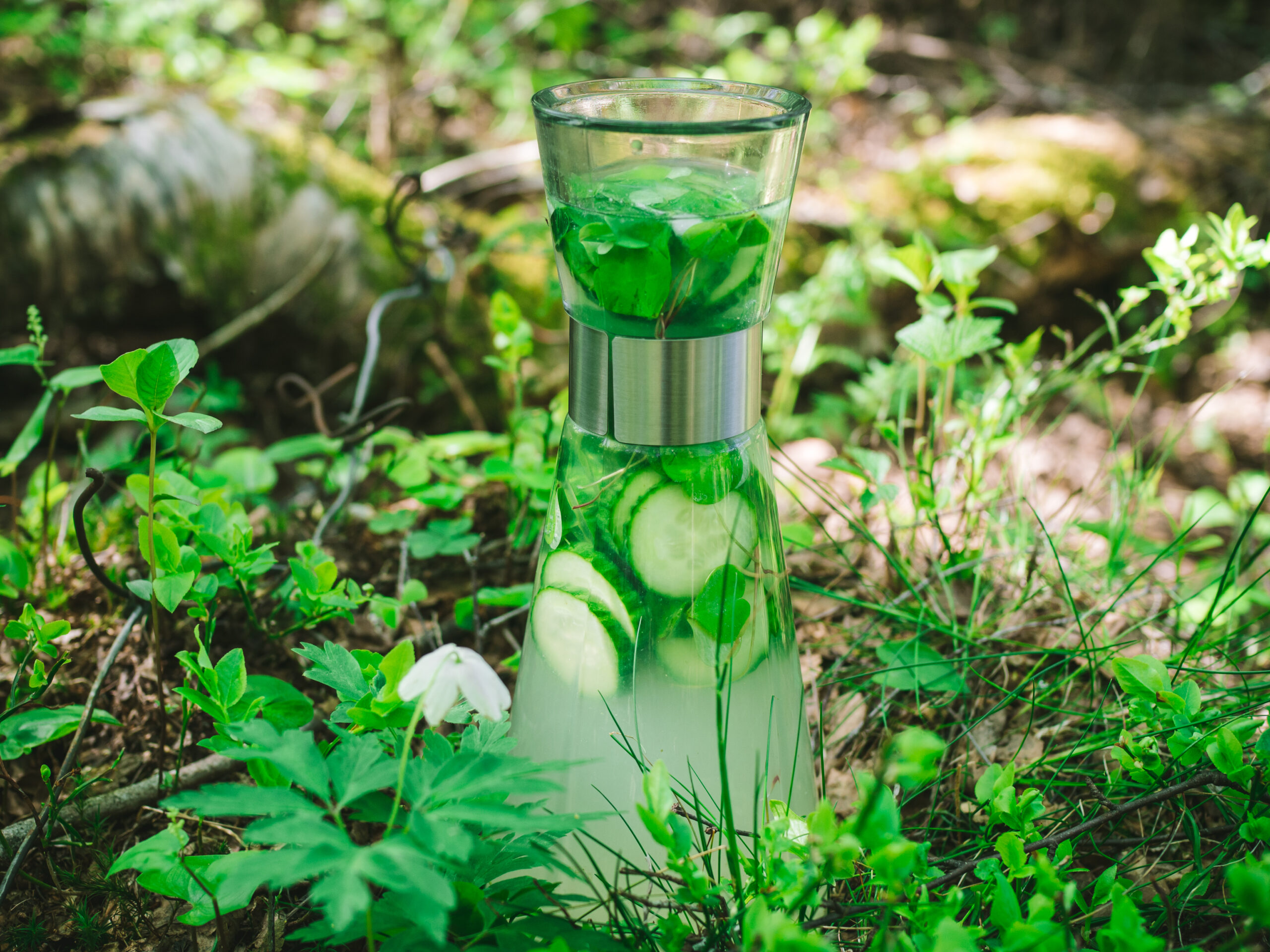 Wood Sorrel and Cucumber Lemonade