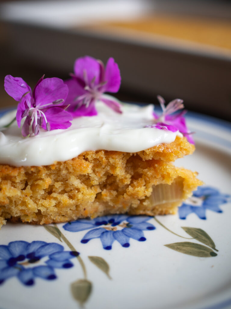 Rhubarb Carrot Cake (gulrotkake med rabarbra) 